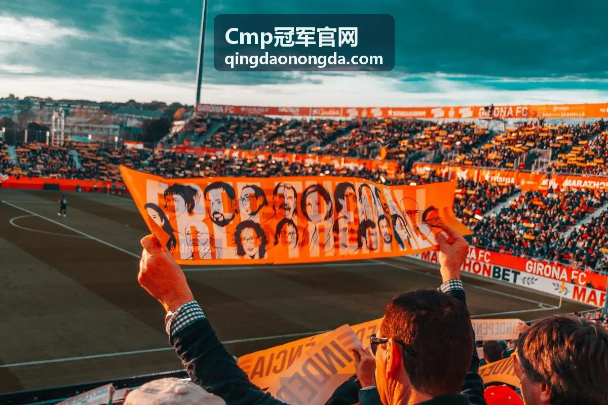 Cmp冠军官网实时数据背景