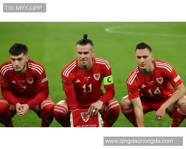 威尔士足球队的传奇球星盘点及其在国际赛场上的辉煌表现