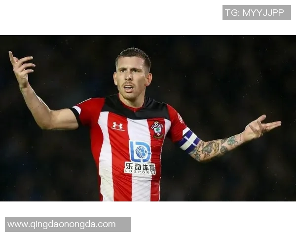 丹麦足球国家队球星风采解析与未来发展潜力展望