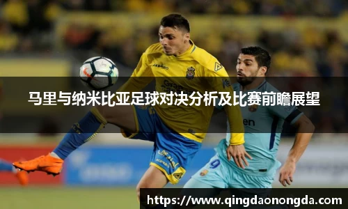 马里与纳米比亚足球对决分析及比赛前瞻展望